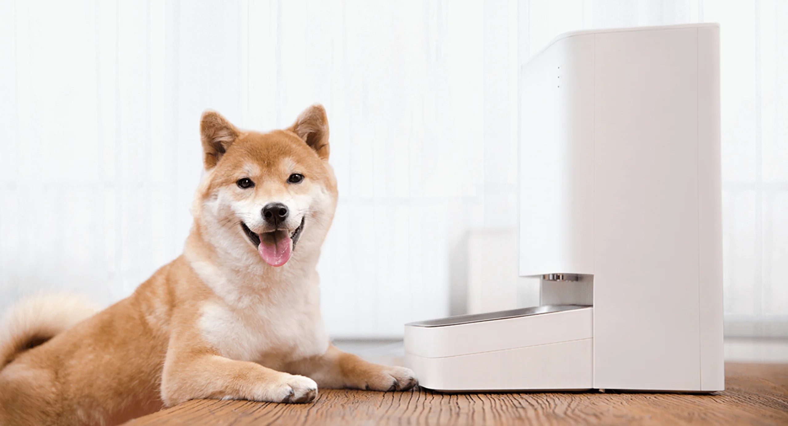 Smart Pet Food Feeder