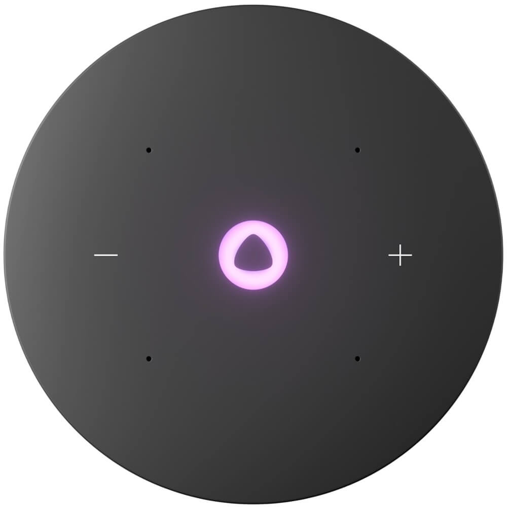 Умная колонка Яндекс Станция Мини 3 Про с Zigbee серый YNDX-00059GRY